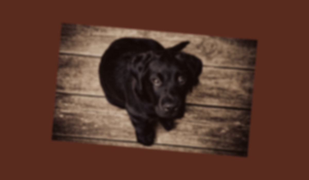 Image Layer Example